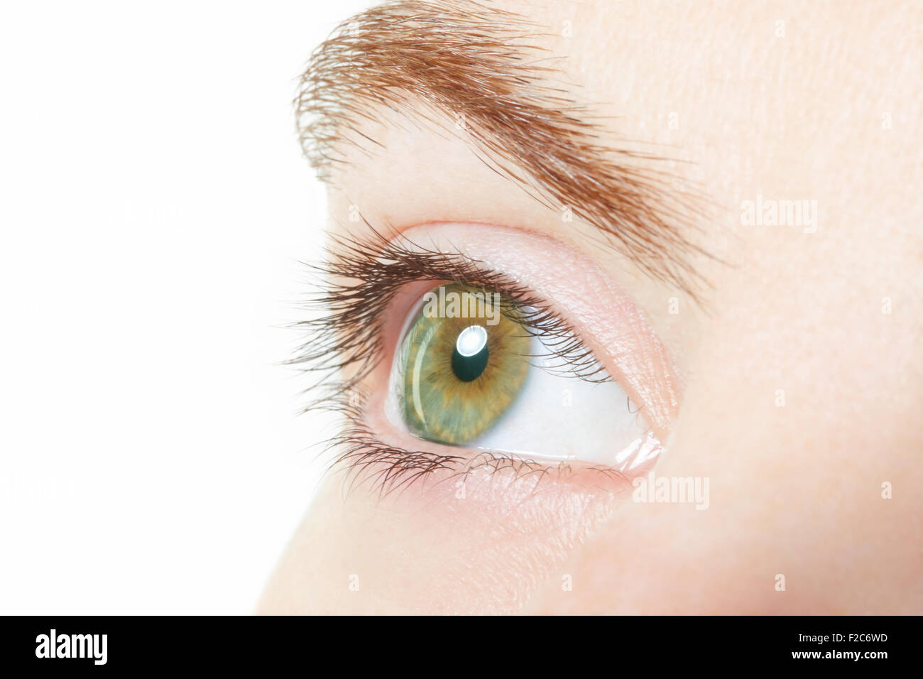 Human, green healthy eye macro on white background Stock Photo