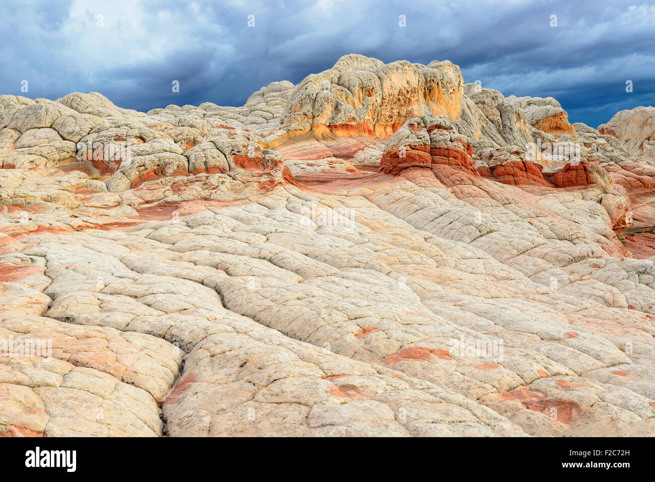 Sandstone rock formation at the White Pocket, area of Vermilion Cliffs National Monument Stock Photo