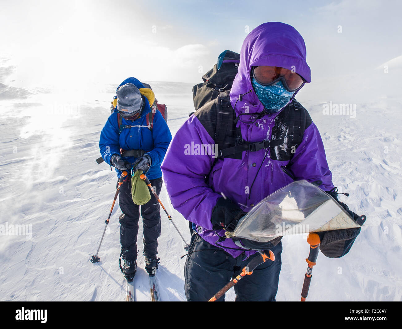 Skiing in a blizzard in Northern Norway, checking the map Stock Photo