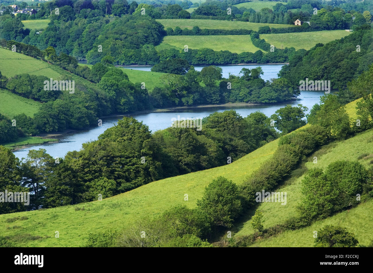 Country scene with green fields and river. River, green, fields, Dart