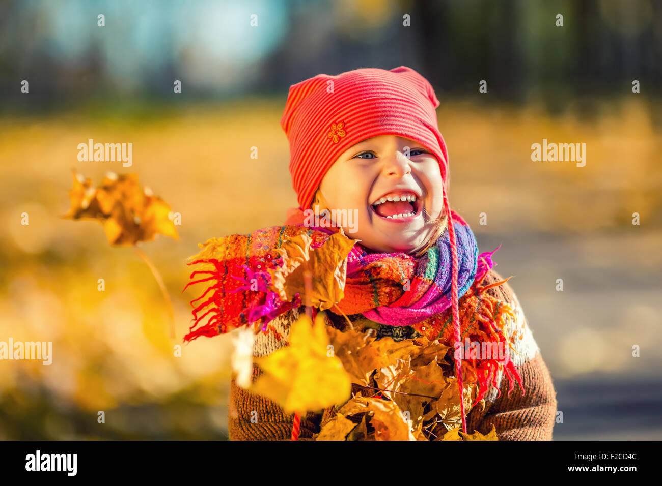 Little girl playing with autumn leaves Stock Photo - Alamy