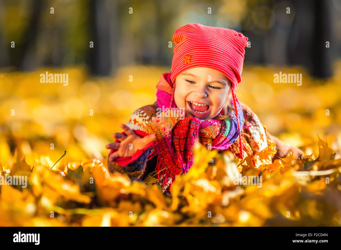 Little girl playing with autumn leaves Stock Photo - Alamy