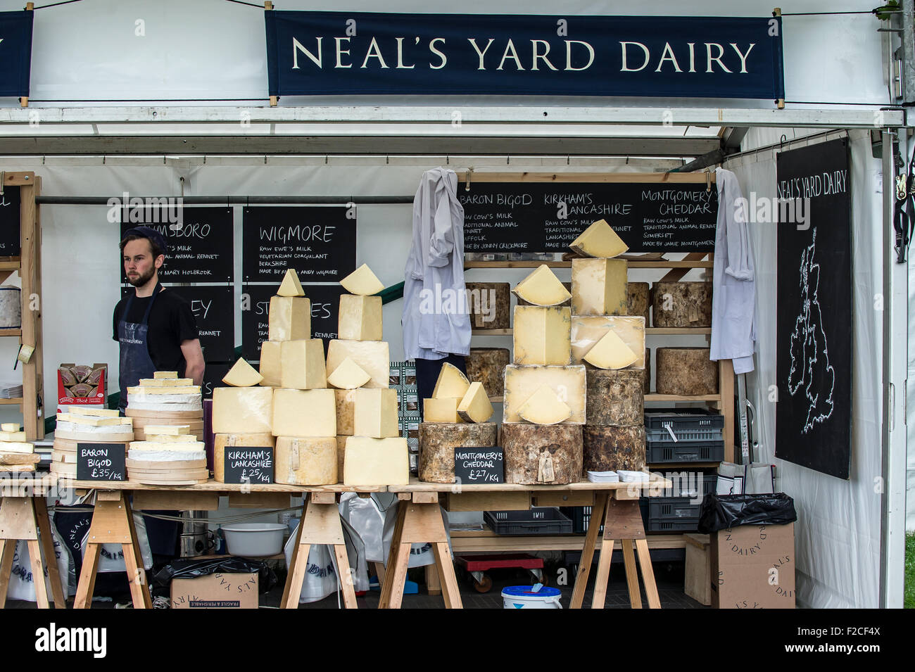 Cheese on display ready for sale. Stock Photo