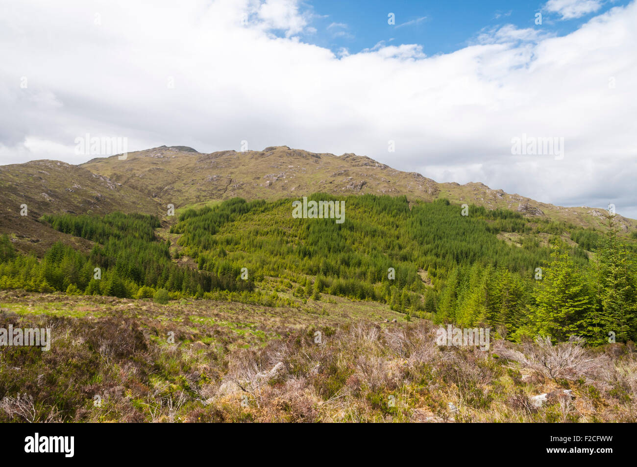Looking west towards the lower slopes of Beinn Resipol from the Corrantee mine, a disused lead mine in Sunart, Scotland. Stock Photo