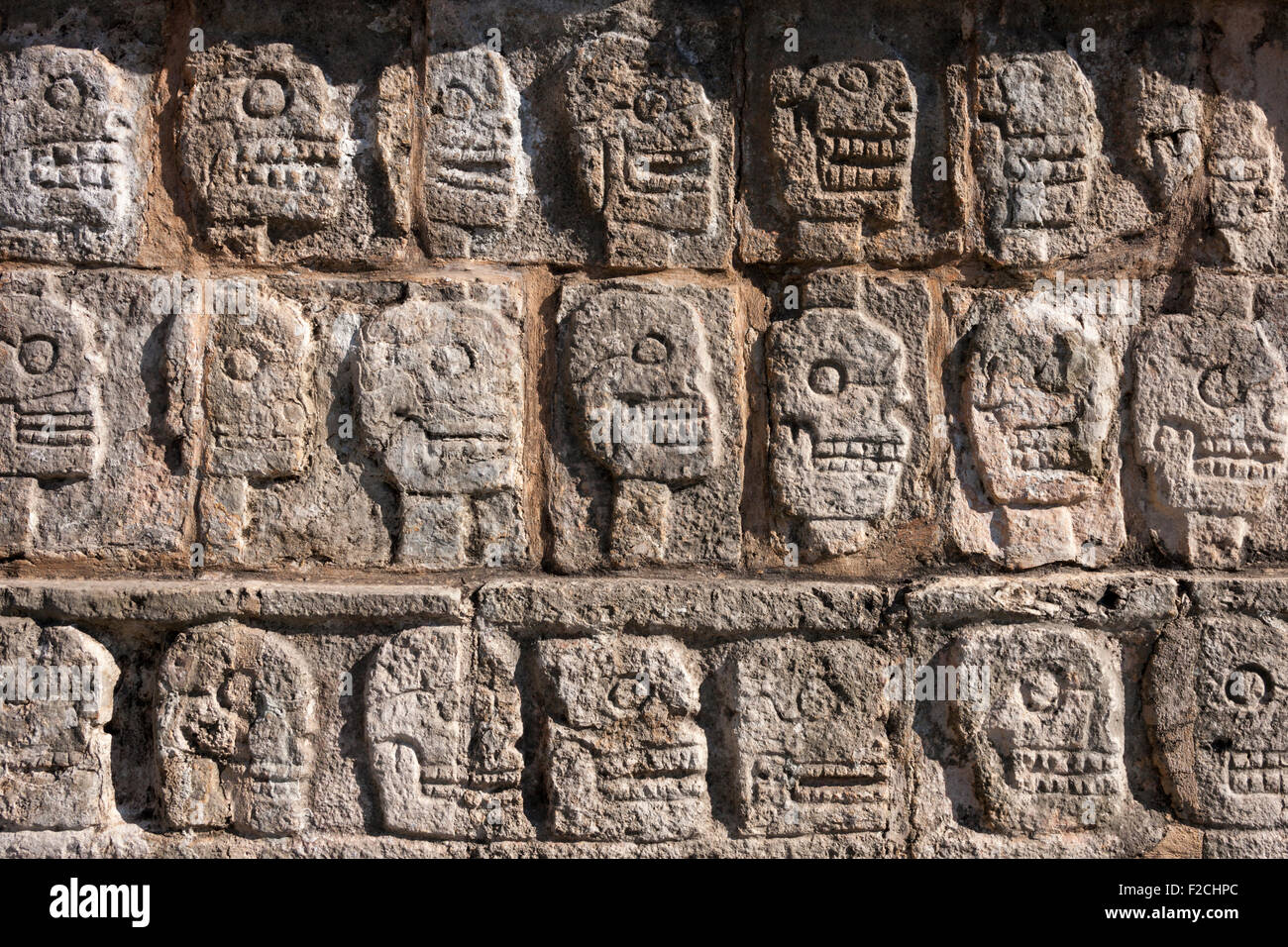 Skull rack hires stock photography and images Alamy