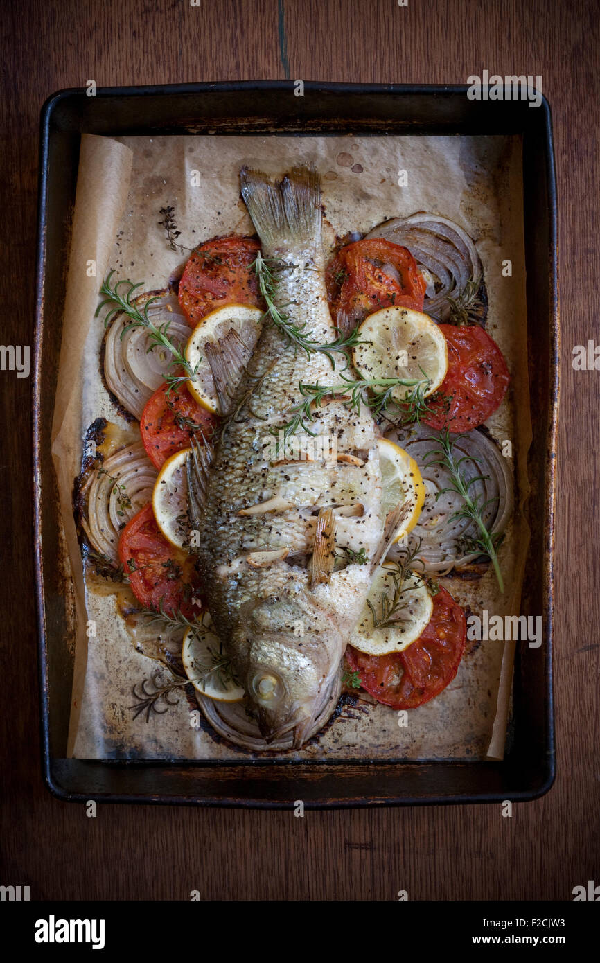overhead view of roasted whole fish in pan with tomatoes, onions, lemon and rosemary Stock Photo