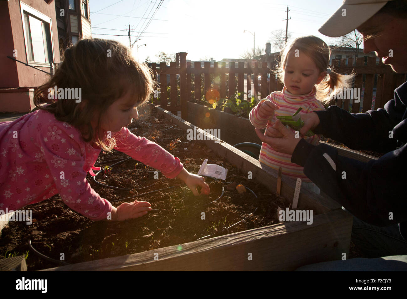 Mother and two young girls plant seeds in a raised bed in their yard in Alameda California Stock Photo