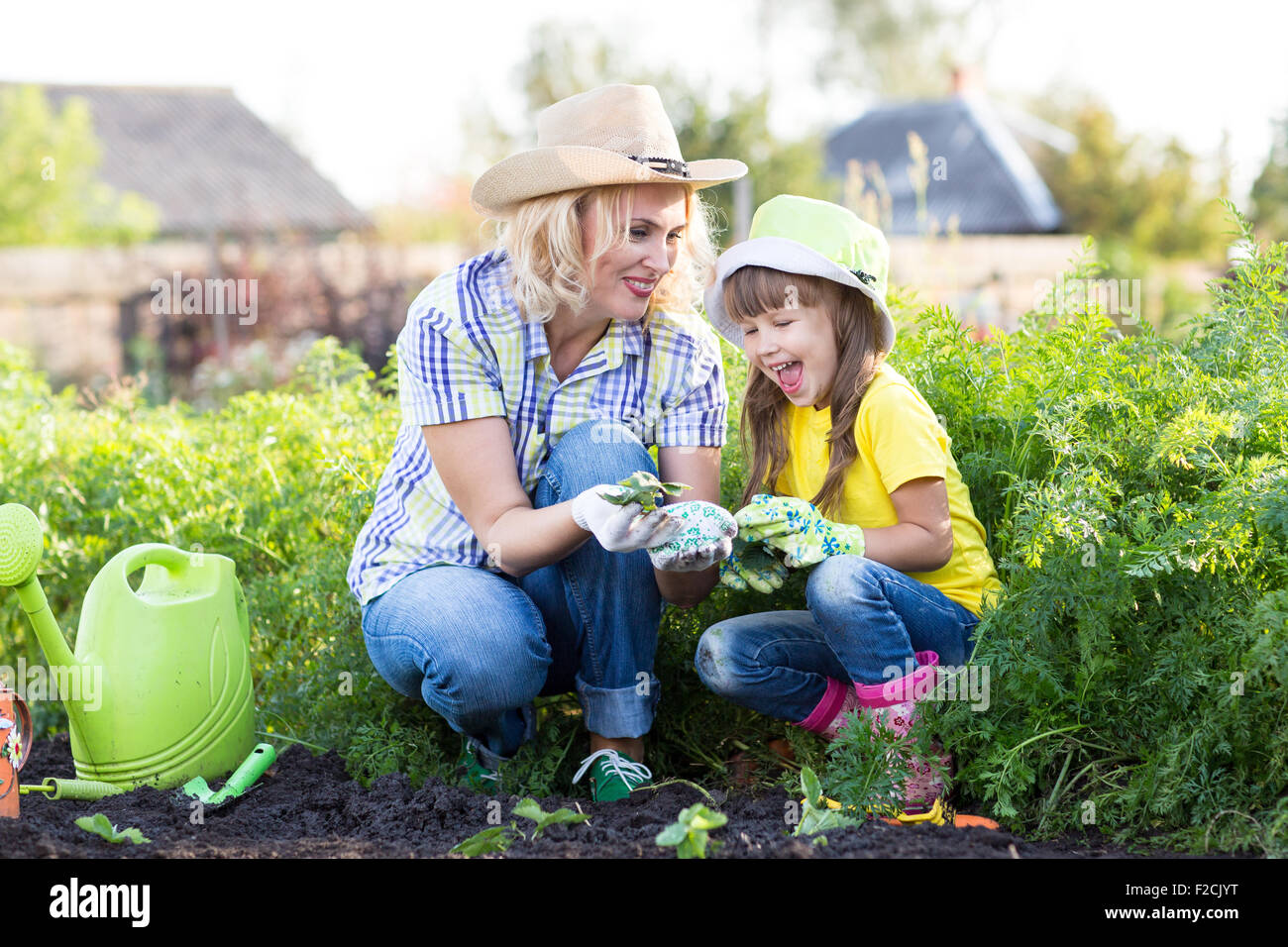Mother and little girl planting strawberry seedlings in summer time Stock Photo