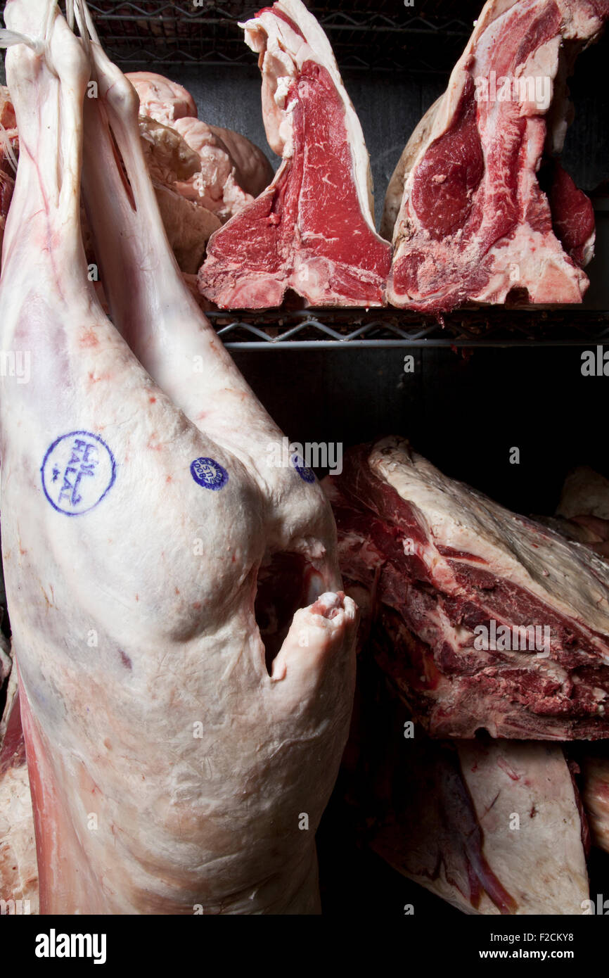 walk-in refrigerator view of butched halal  meat Stock Photo