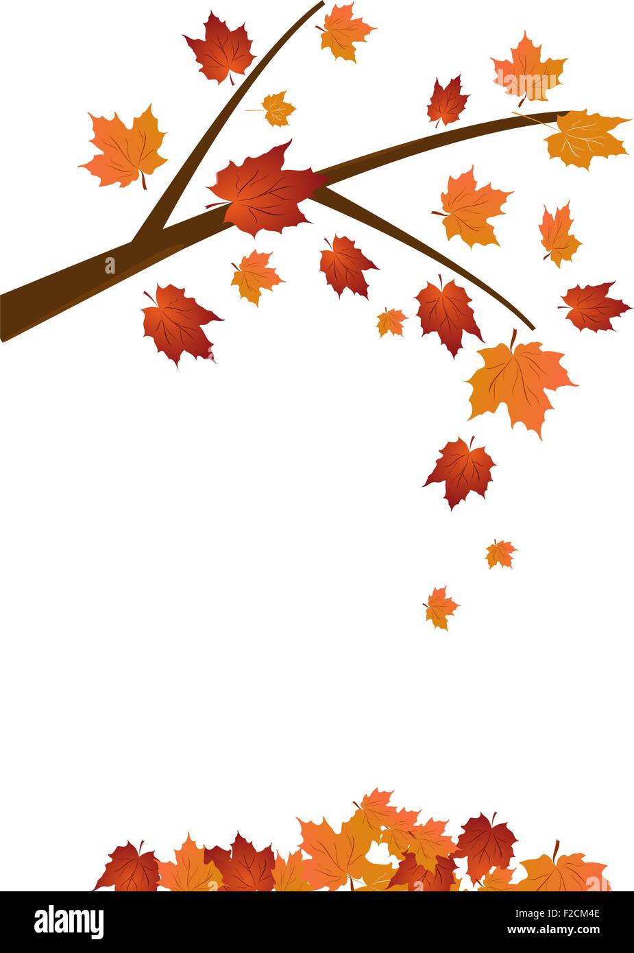 Branch of maple tree Stock Vector Image & Art - Alamy