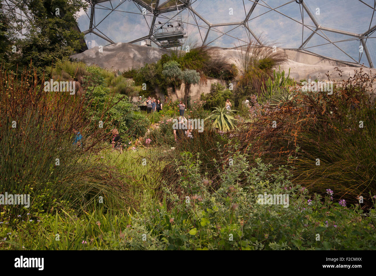 Interior view of the eden project in cornwall hires stock photography