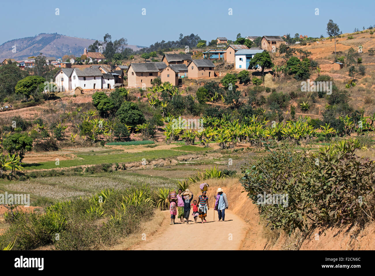 Rural village in the Betsileo region near Fianarantsoa, Haute Matsiatra, Madagascar, Southeast Africa Stock Photo