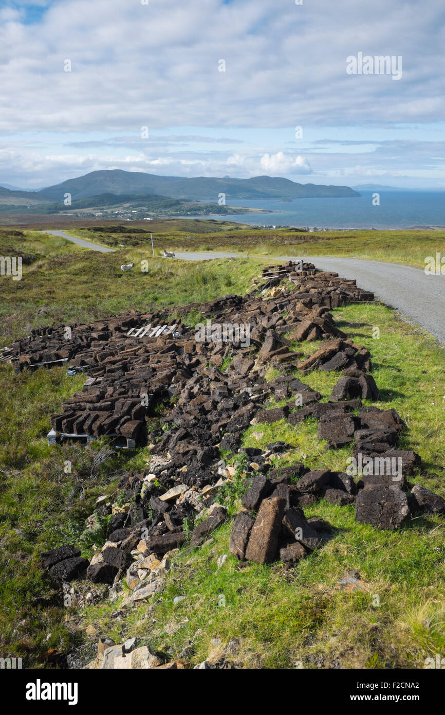 Cut peat drying in the sun on the Isle of Skye. Stock Photo