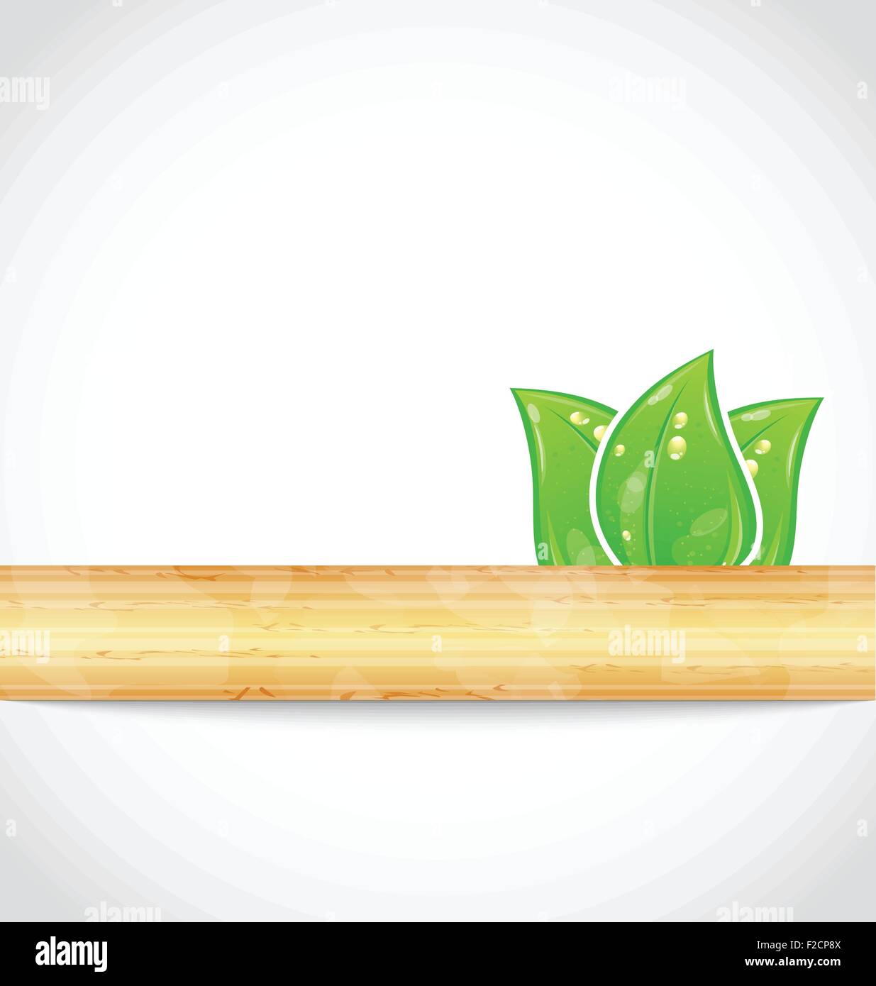 Natural background with eco green leaves and wood Stock Vector Image ...