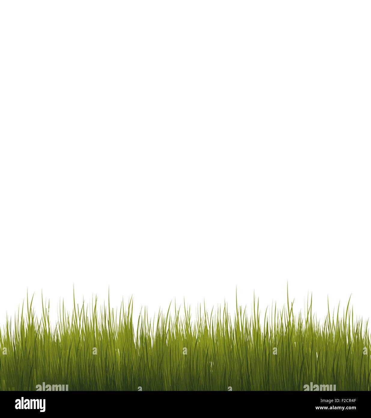 Green grass isolated on white background Stock Vector Image & Art - Alamy