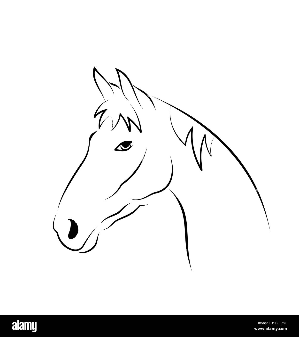 Outline head horse isolated on white background Stock Vector Image ...