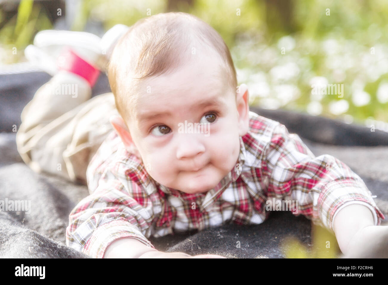 Funny face of cute 6 months old baby with Light brown hair in red checkered shirt and beige pants: he's biting his lips and puffing cheeks Stock Photo