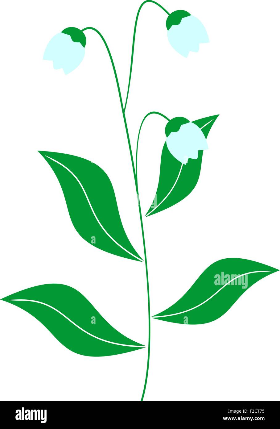 Illustration of lily of the valley Stock Vector Image & Art - Alamy