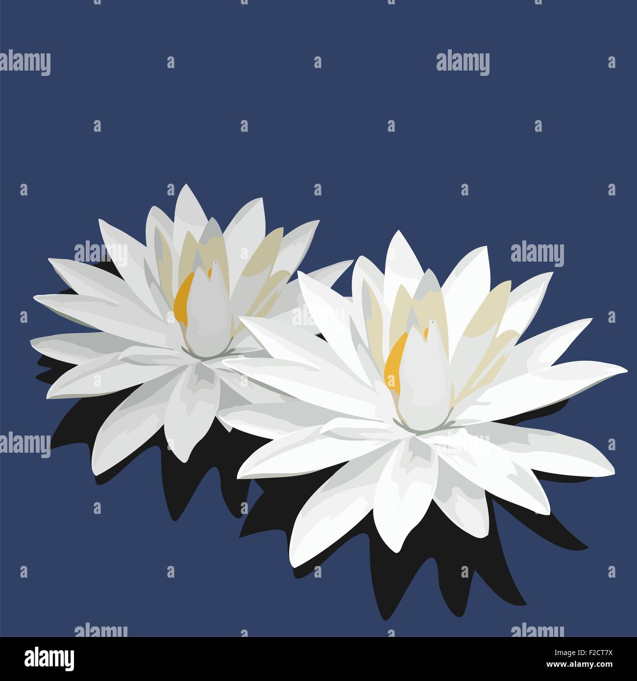 Lotus is isolated on blue background Stock Vector Image & Art - Alamy