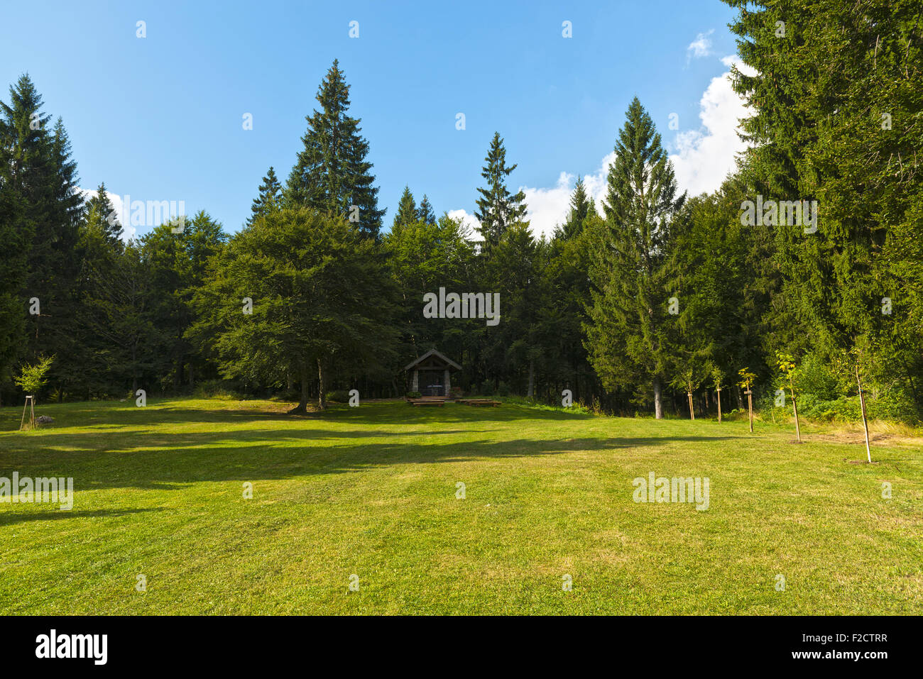 Meadow and trees in the mountains of Trentino near village of Molveno, Dolomite of Brenta - Italy Stock Photo
