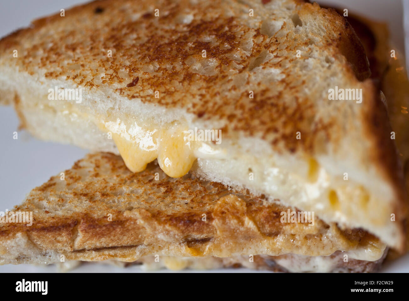 Close-up of grilled cheese sandwich with cheese oozing out. Stock Photo