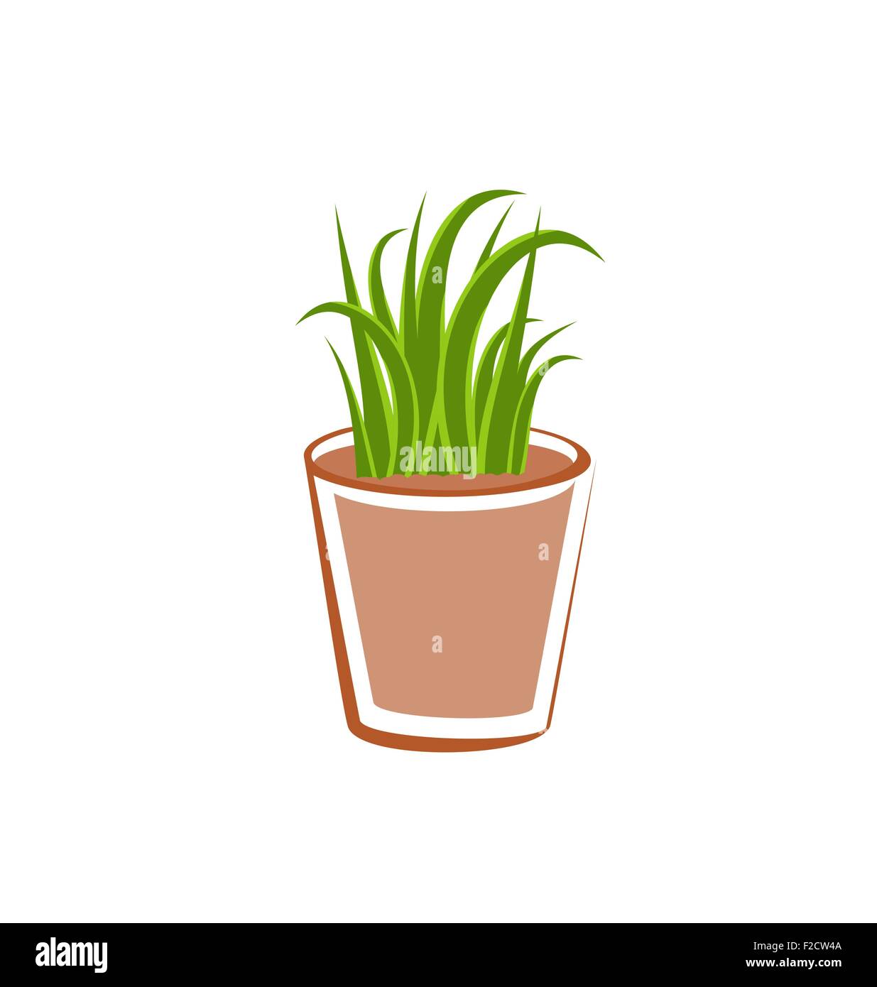 flowerpot-with-green-grass-plants-stock-vector-image-art-alamy