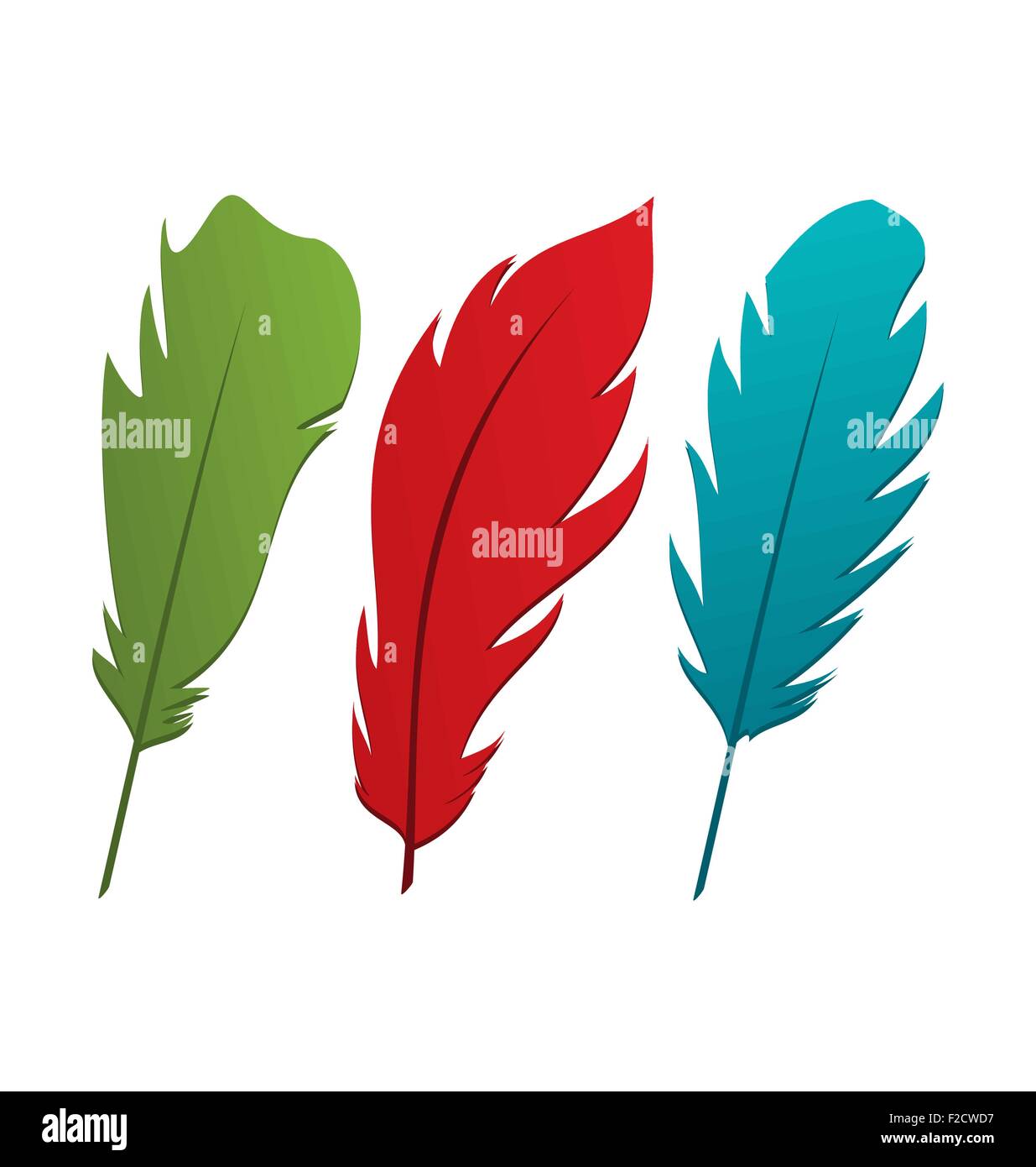 Set colorful feathers isolated on white background Stock Vector Image ...