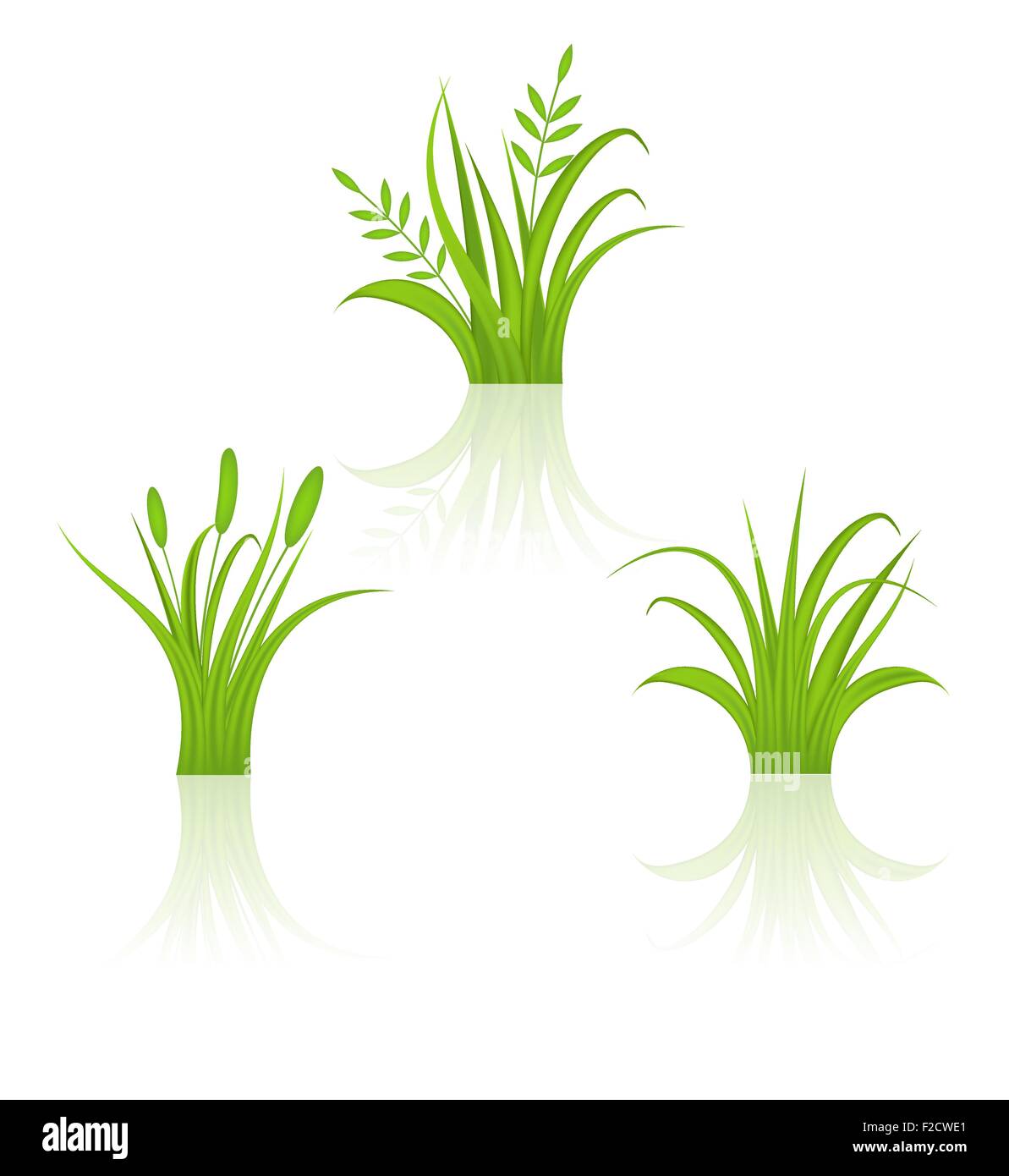 Set green grass isolated on white background Stock Vector Image & Art ...