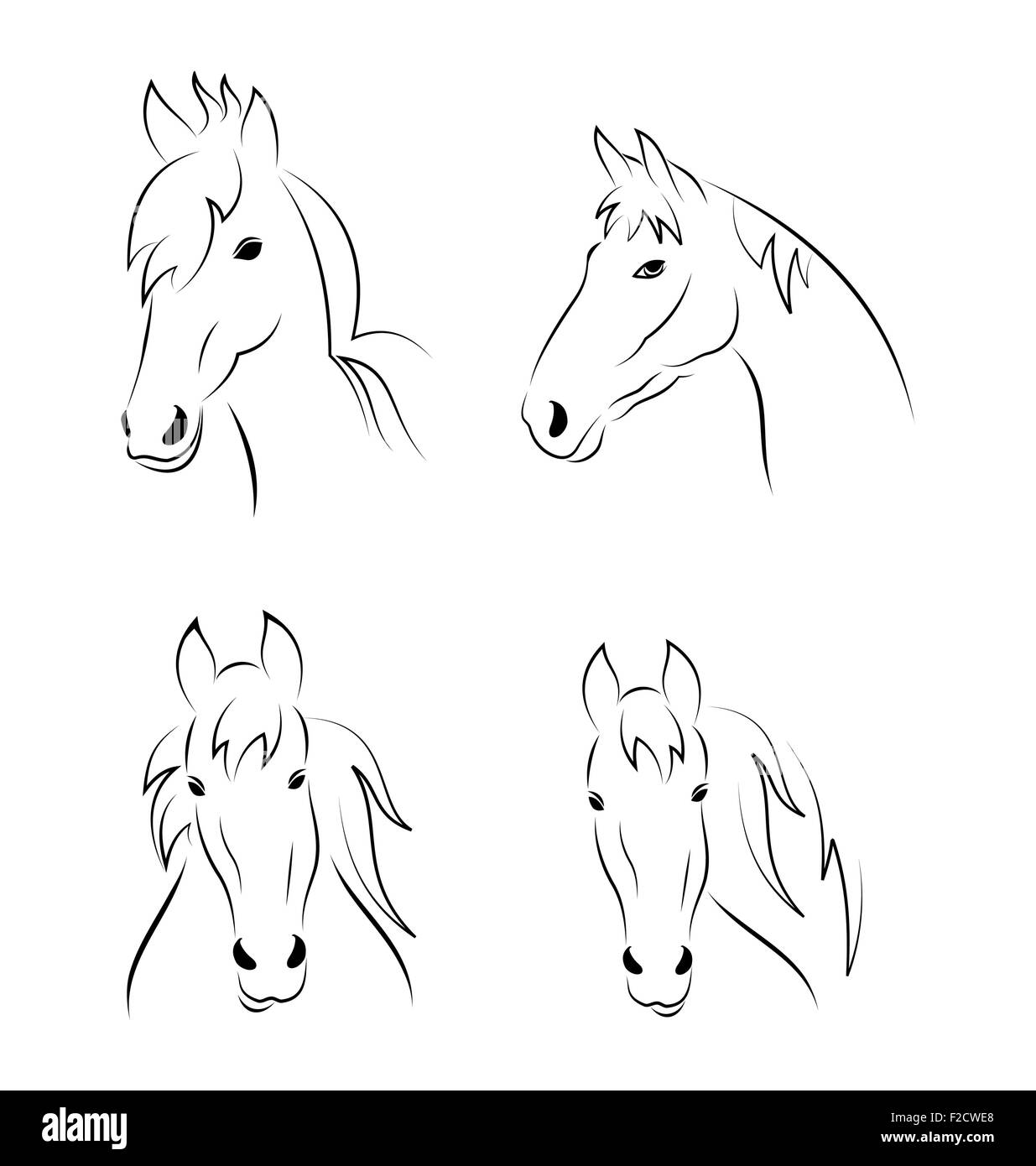 Set symbols outline head horse isolated on white background Stock ...