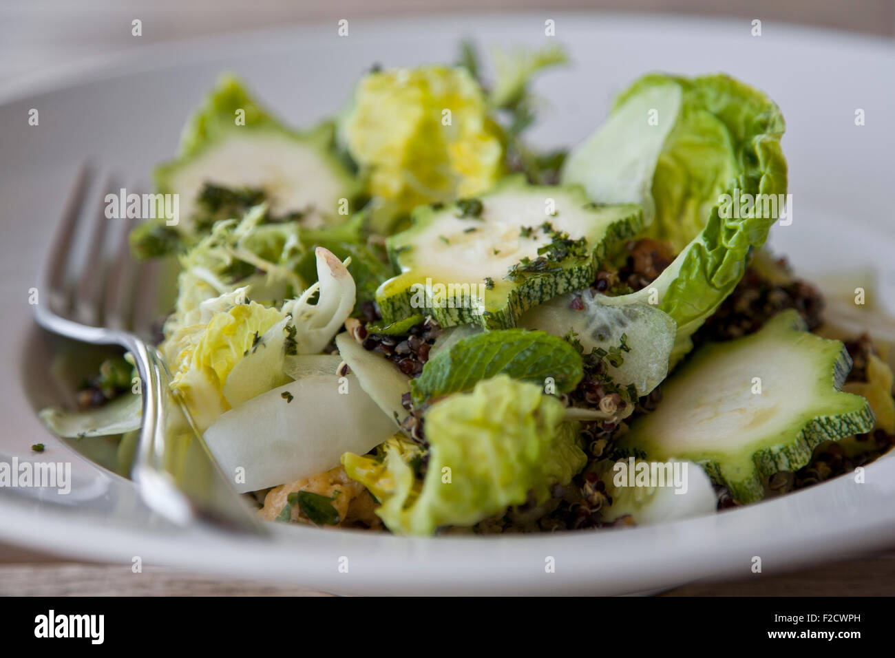 Side view of green salad with squash and butter lettuce on white plate with fork Stock Photo