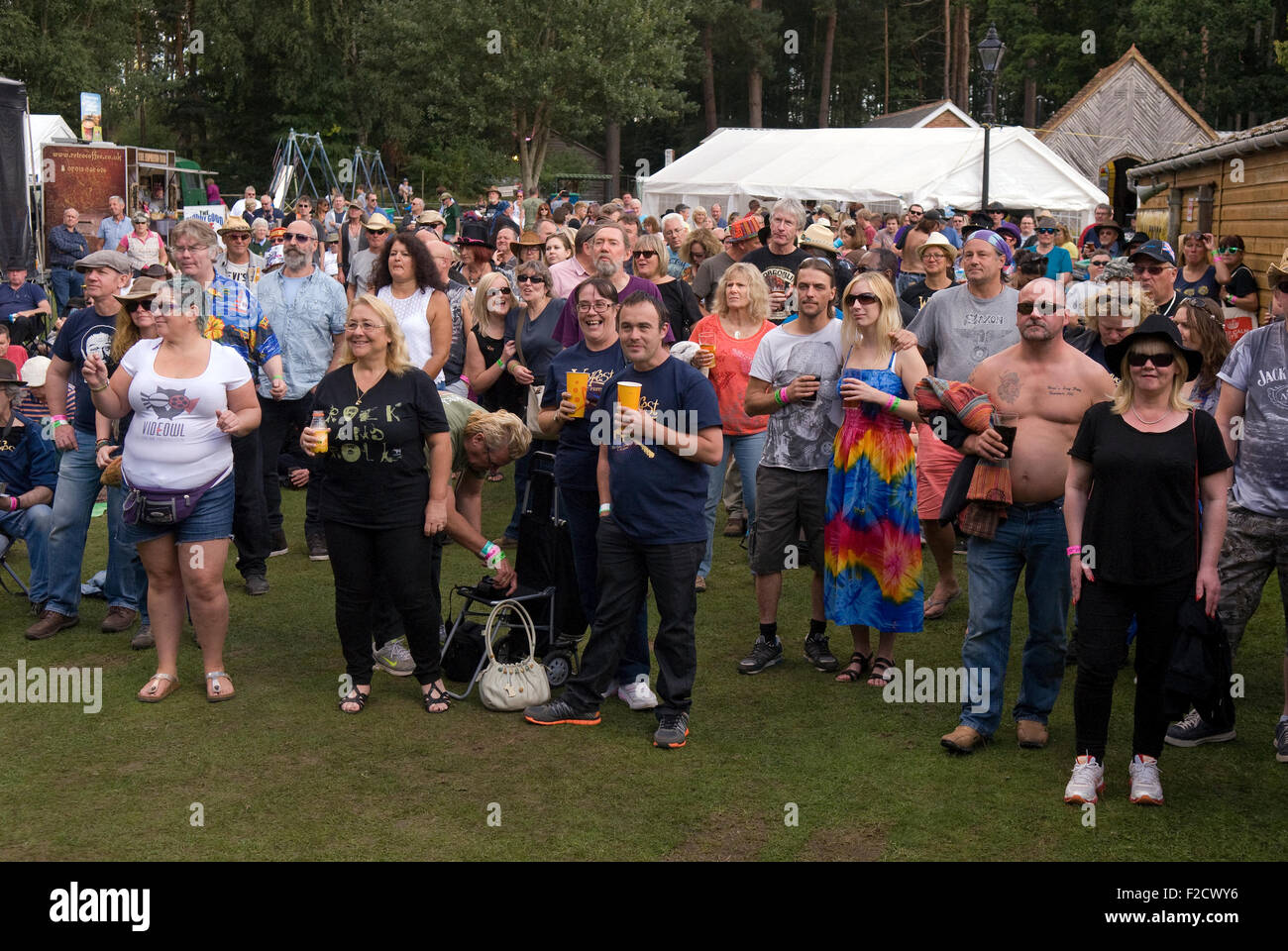 Festival goers enjoying the music at Weyfest 2015, Rural Life Centre, Tilford, Farnham, Surrey, UK. Stock Photo