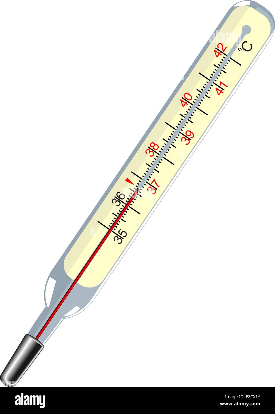 medical thermometer on the white isolated background Stock Vector Image & Art Alamy