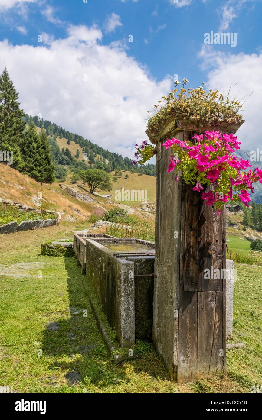 Spring water on hiking hi-res stock photography and images - Alamy