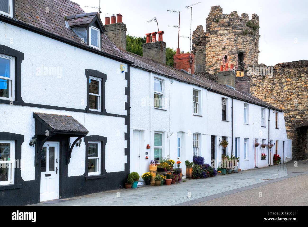 Conwy, Wales, UK Stock Photo