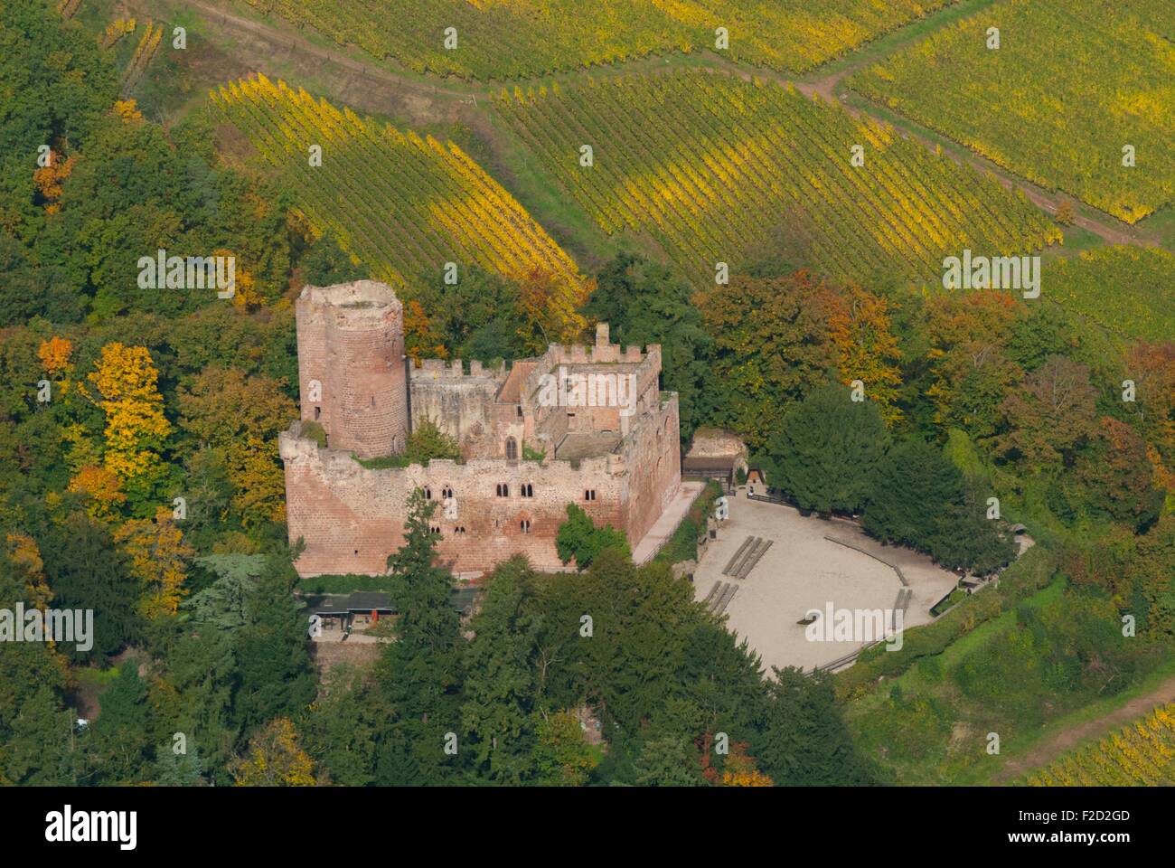 France, Bas Rhin (67), Wines road, Kintzheim,  castle of Kintzheim and vineyards during autumn (aerial view)  // Bas Rhin (67),  Stock Photo