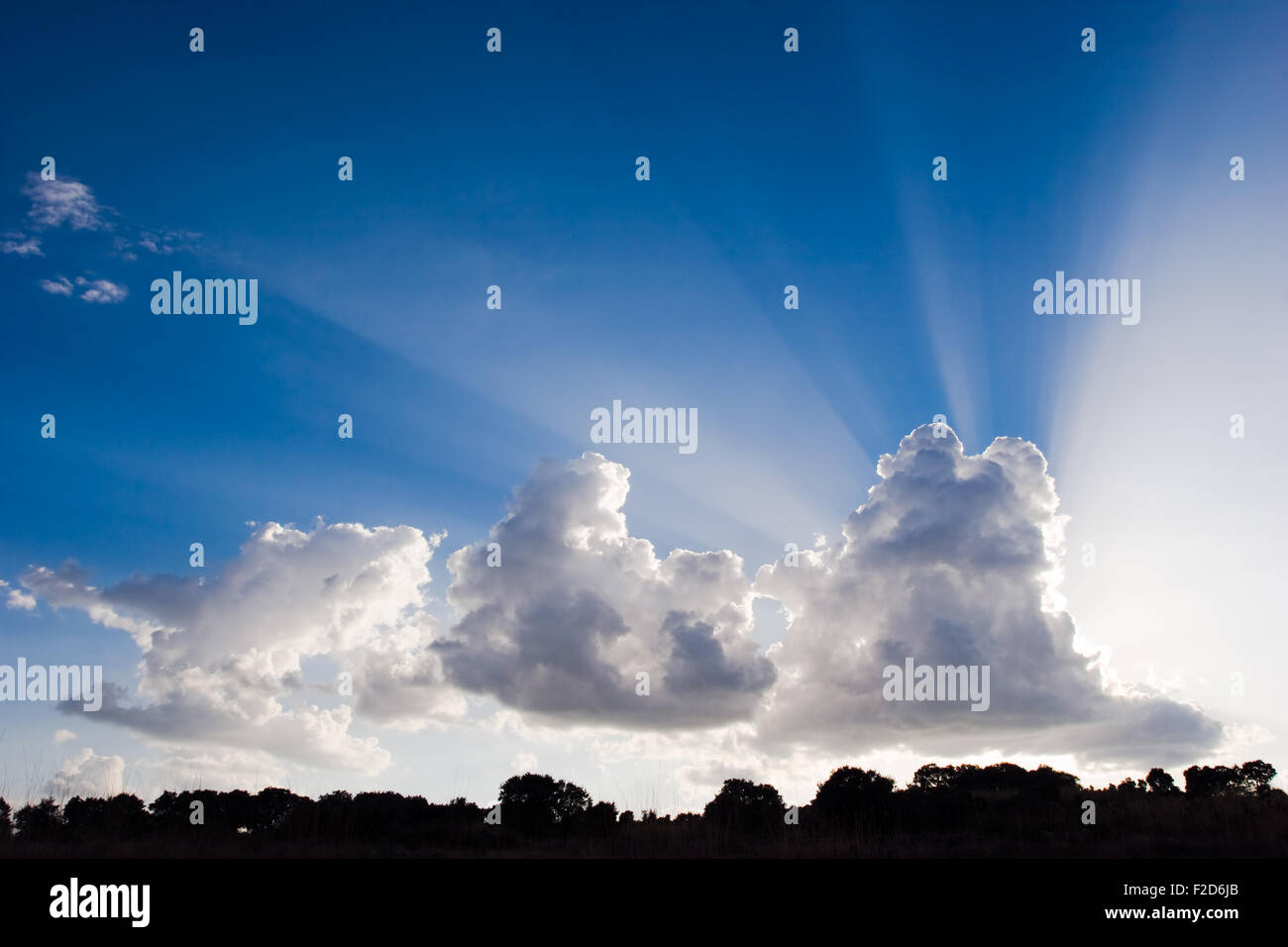 Sun behind clouds Stock Photo Alamy