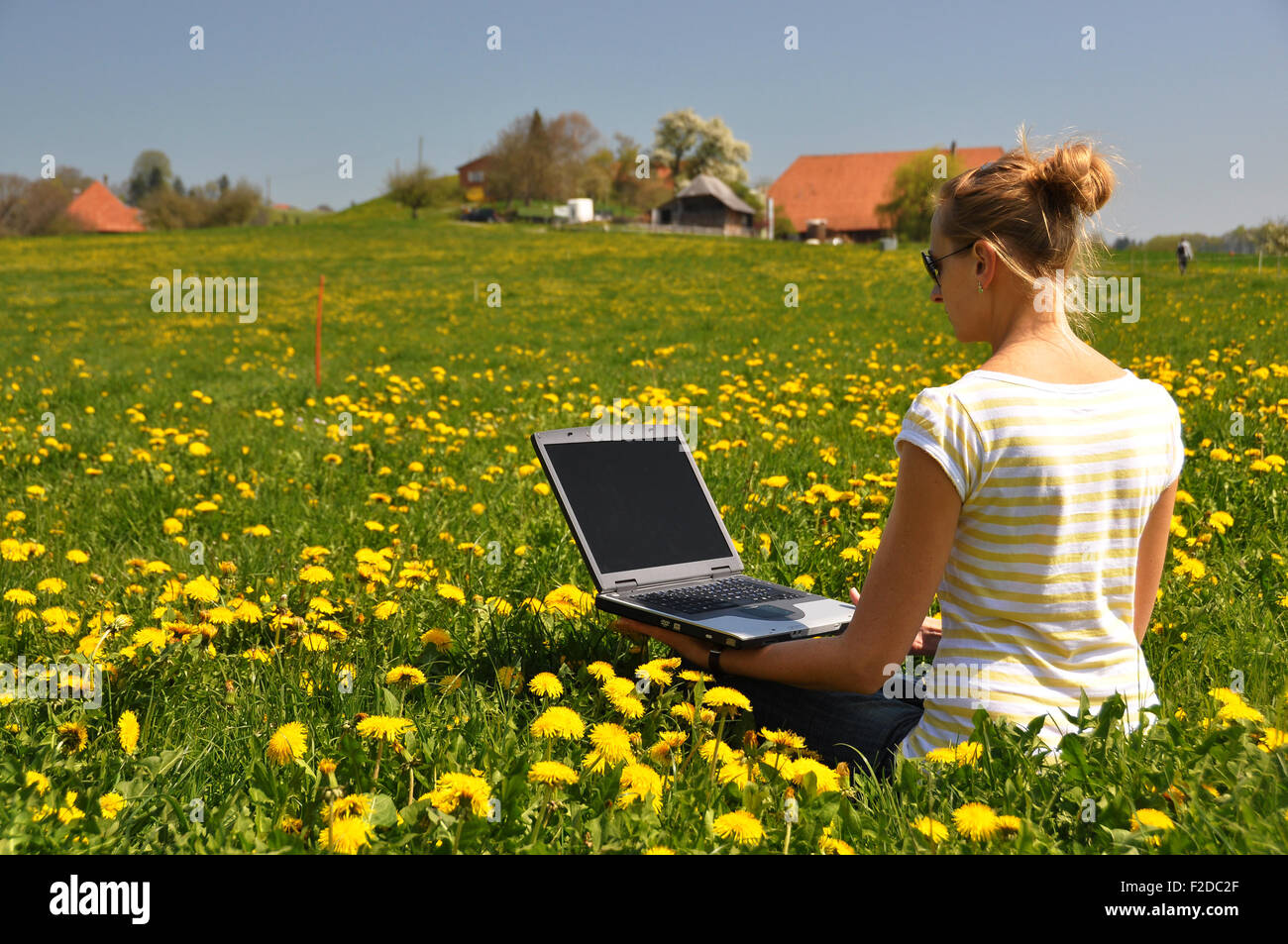 Girl with a laptop on the spring meadow Stock Photo - Alamy