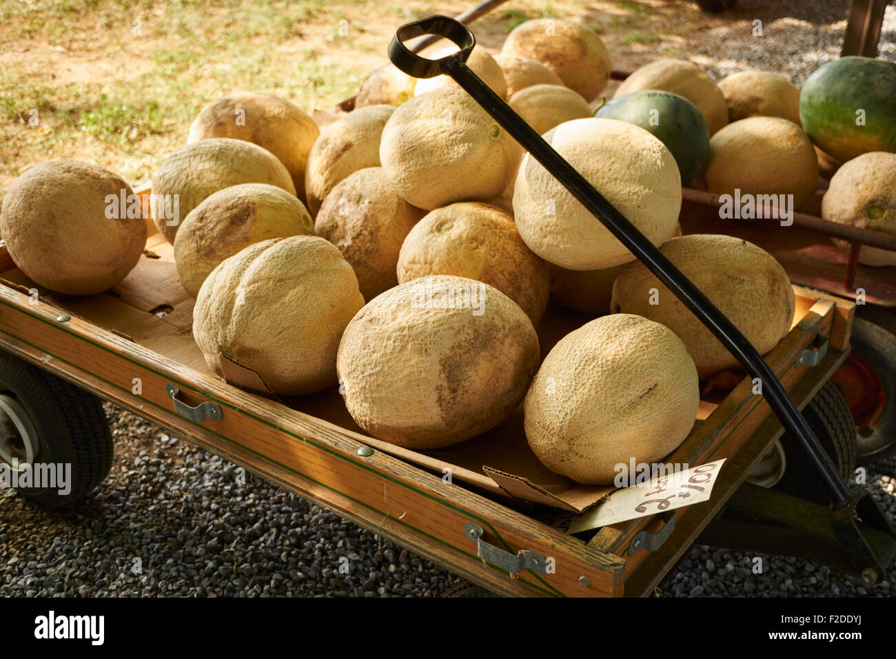 A wagon load of cantaloupes at a Pennsylvania roadside farm market Stock Photo