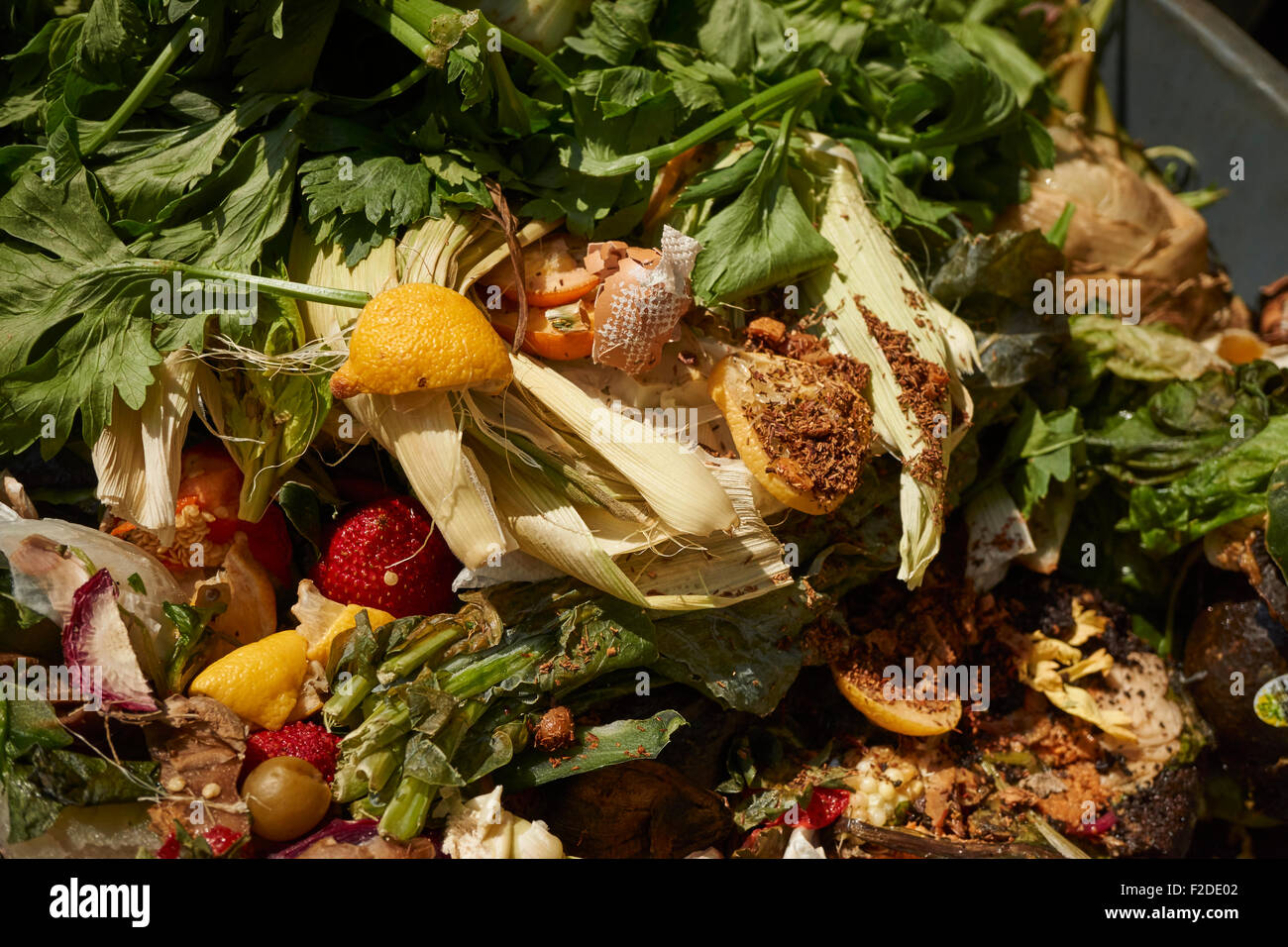A food waste collection bin at the Union Square Greenmarket, Manhattan, New York City, USA Stock Photo