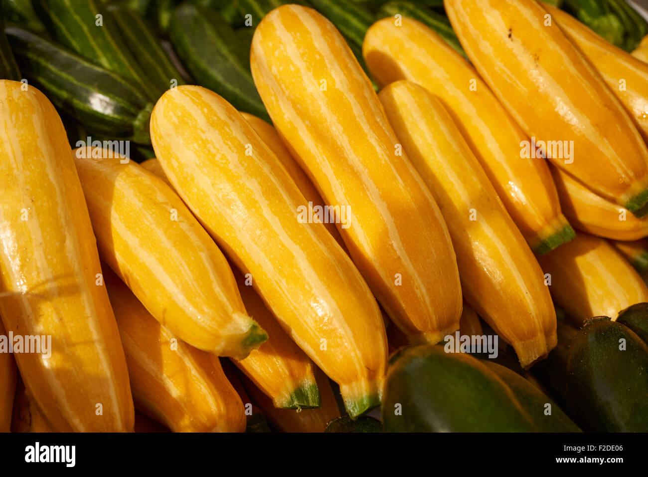 Yellow squash at the Union Square Greenmarket, Manhattan, New York City