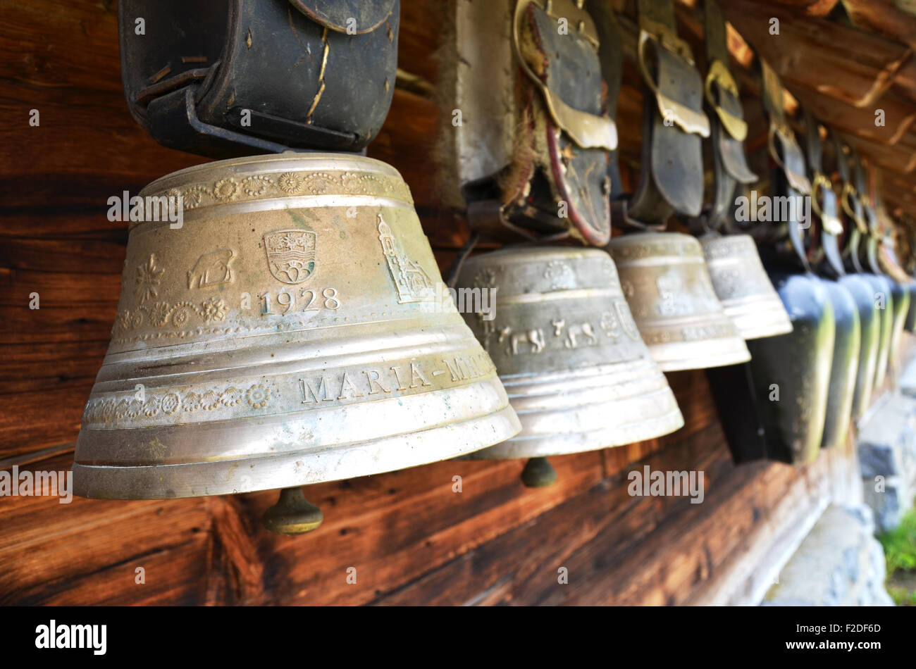 Edelweiss national flower switzerland hires stock photography and