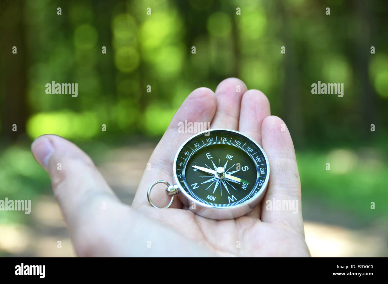 Compass in the hand Stock Photo Alamy