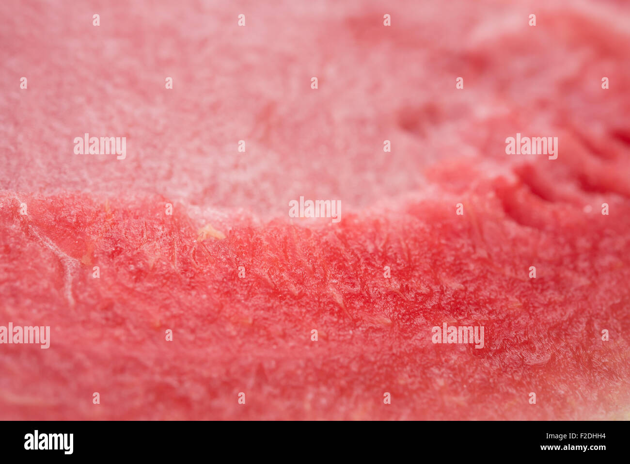 watermelon close up Stock Photo - Alamy