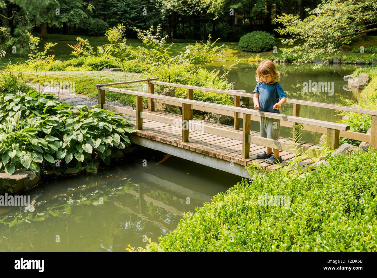 Young Boy At Nitobe Memorial Garden U B C Vancouver British