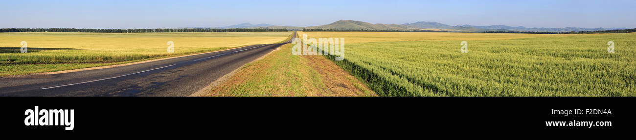 Beautiful panorama the road among farm fields Stock Photo - Alamy