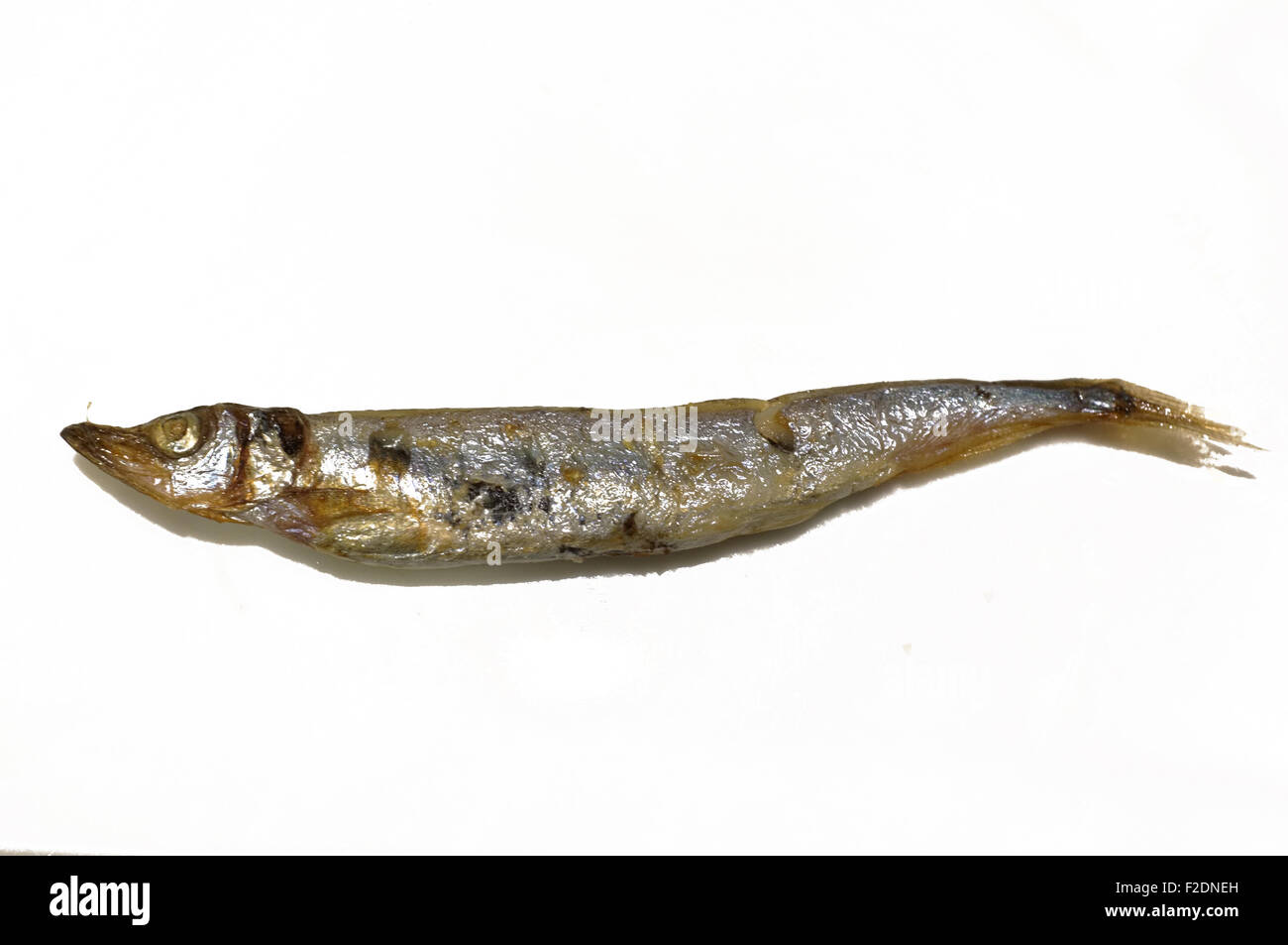 Grilled Shishamo, cooked Japanese small fish Stock Photo Alamy