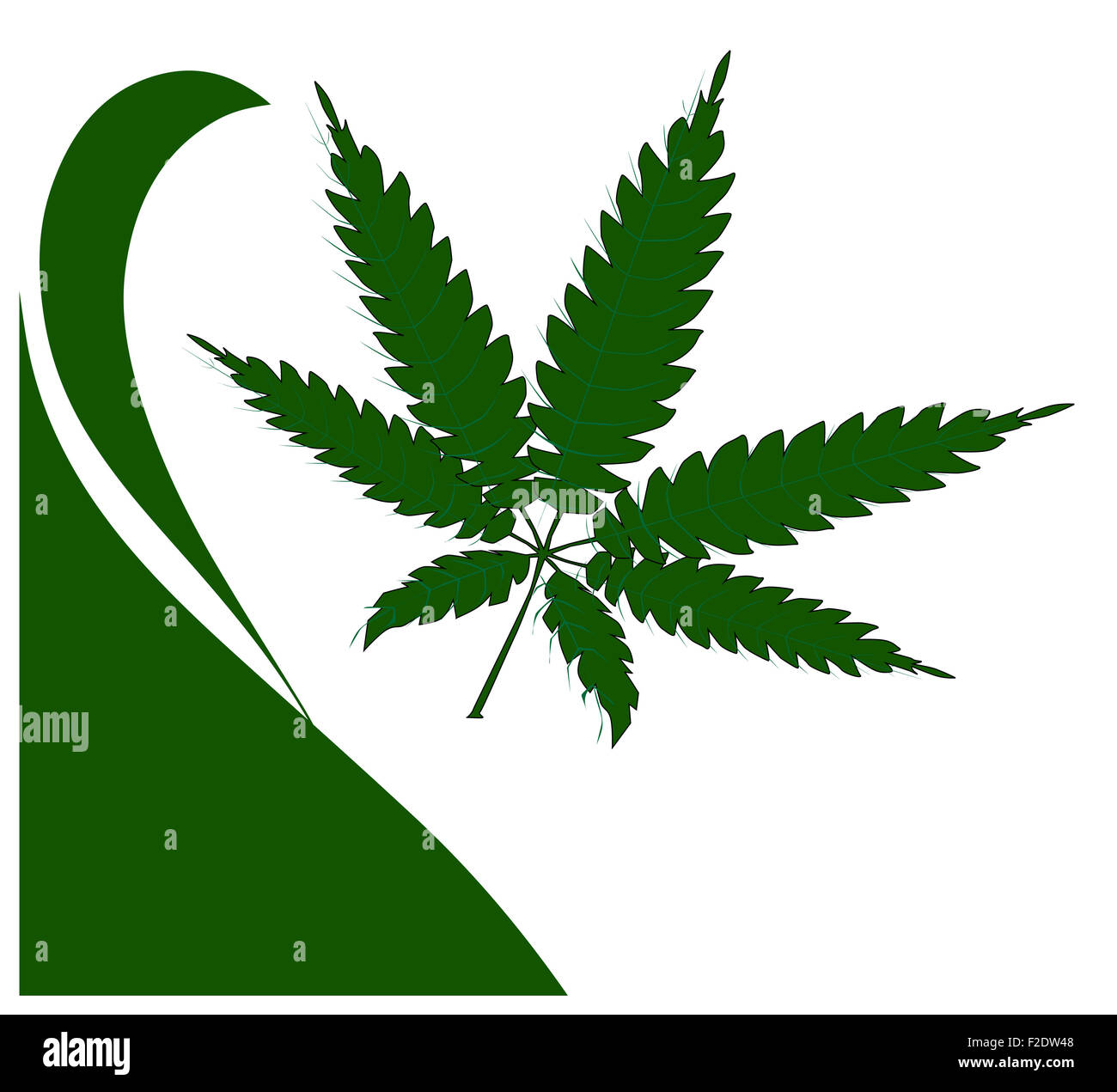 Heart weed hi-res stock photography and images - Page 2 - Alamy