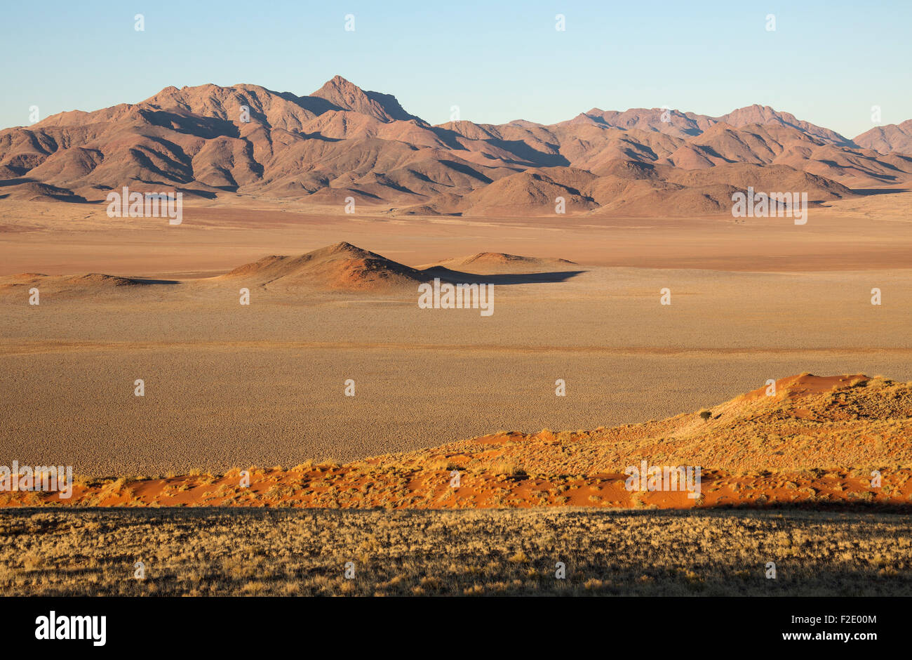 Sand dunes covered with bushman grass (Stipagrostis sp.), arid desert plains and isolated mountain ridges at the edge of the Stock Photo