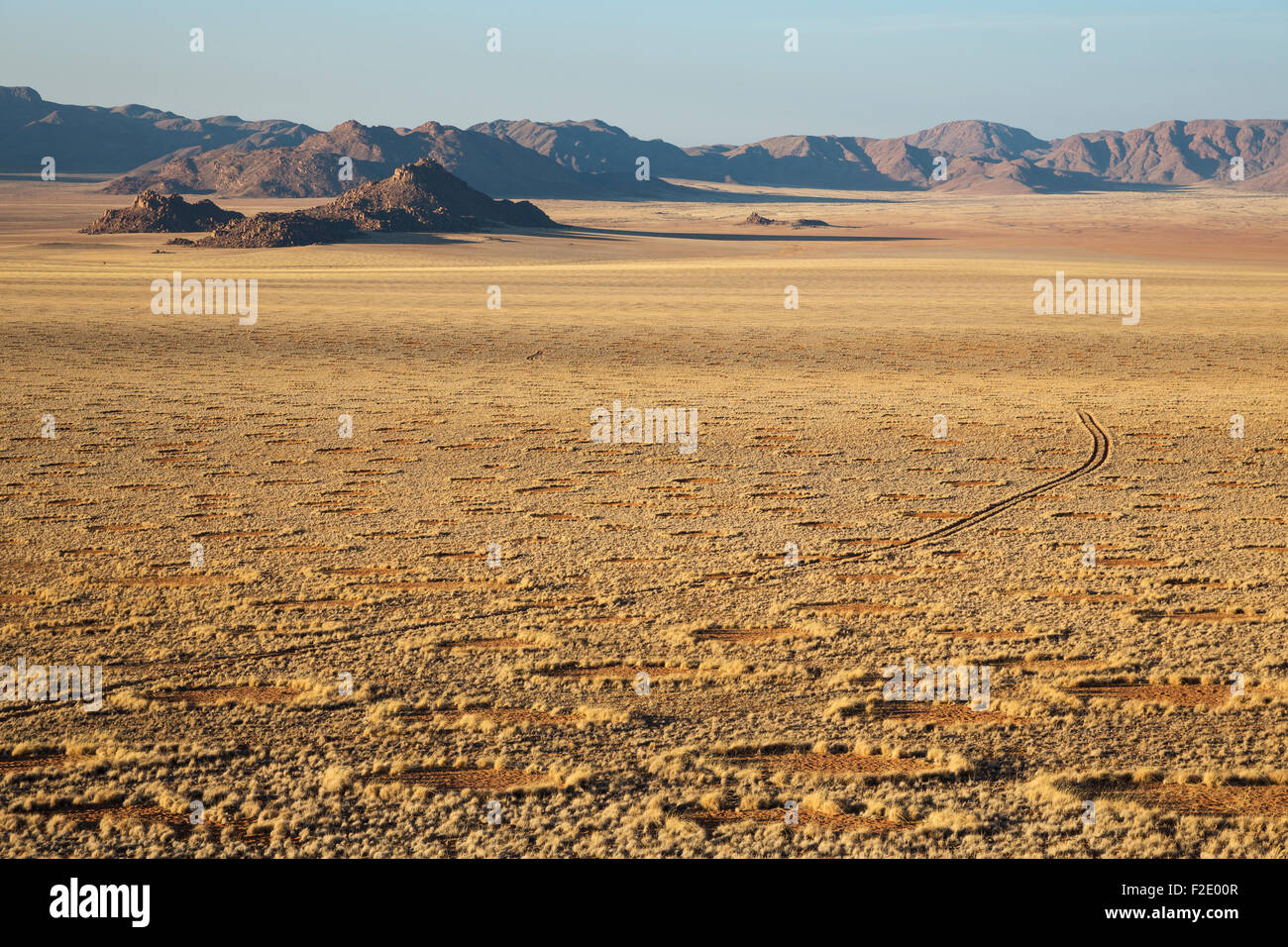 Grass covered desert plain at the edge of the Namib Desert, Fairy Circles, circular patches without any vegetation which Stock Photo