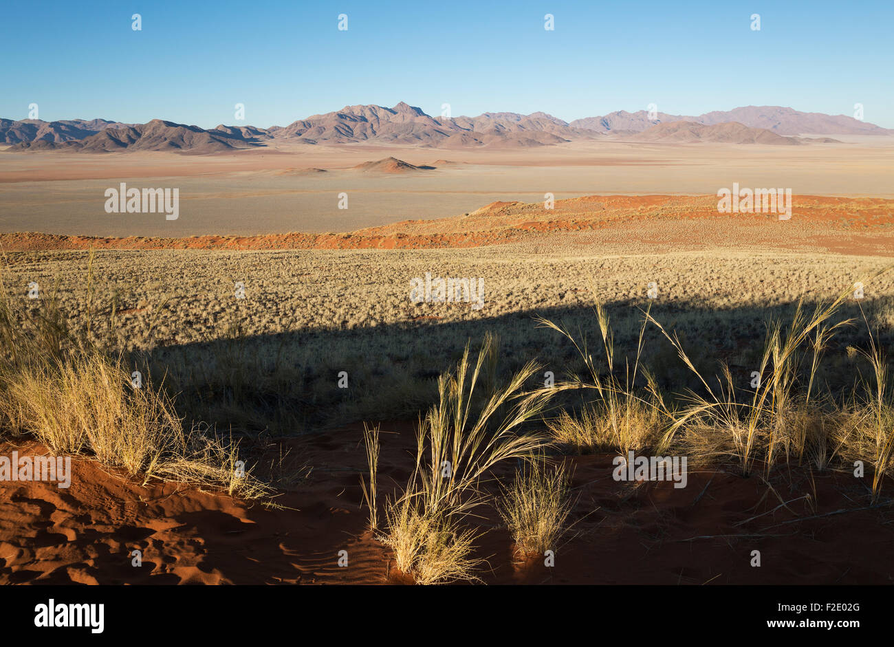 Sand dunes covered with bushman grass (Stipagrostis sp.), arid desert plains and isolated mountain ridges at the edge of the Stock Photo